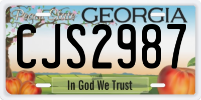 GA license plate CJS2987