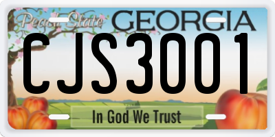 GA license plate CJS3001