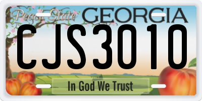 GA license plate CJS3010