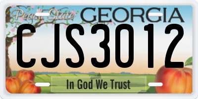 GA license plate CJS3012