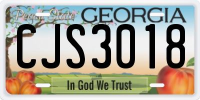 GA license plate CJS3018