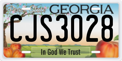 GA license plate CJS3028