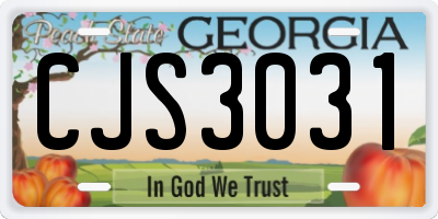 GA license plate CJS3031