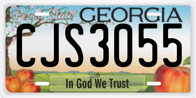 GA license plate CJS3055