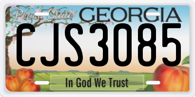 GA license plate CJS3085
