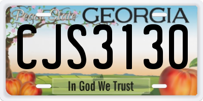GA license plate CJS3130