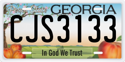 GA license plate CJS3133