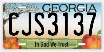 GA license plate CJS3137
