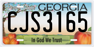 GA license plate CJS3165