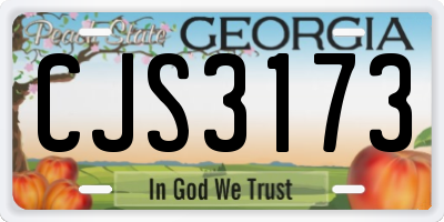 GA license plate CJS3173
