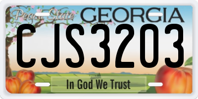 GA license plate CJS3203