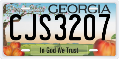 GA license plate CJS3207