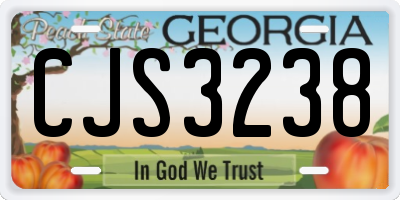GA license plate CJS3238