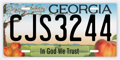 GA license plate CJS3244
