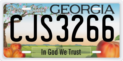 GA license plate CJS3266