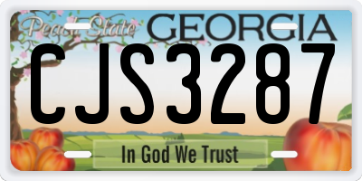 GA license plate CJS3287
