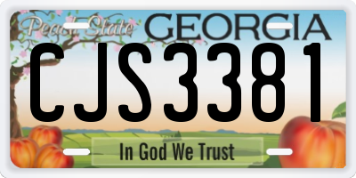 GA license plate CJS3381