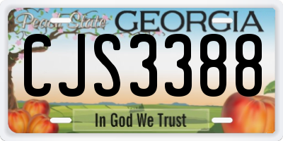 GA license plate CJS3388
