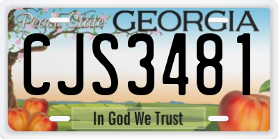 GA license plate CJS3481