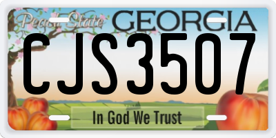 GA license plate CJS3507