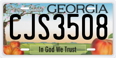 GA license plate CJS3508