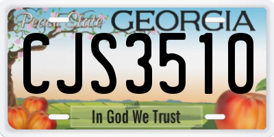GA license plate CJS3510