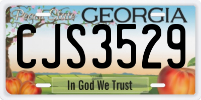 GA license plate CJS3529