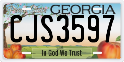 GA license plate CJS3597