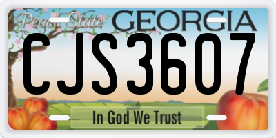 GA license plate CJS3607