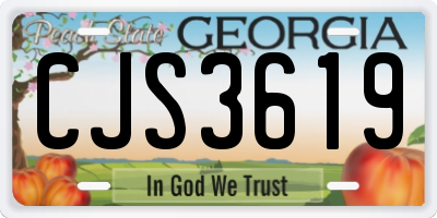 GA license plate CJS3619