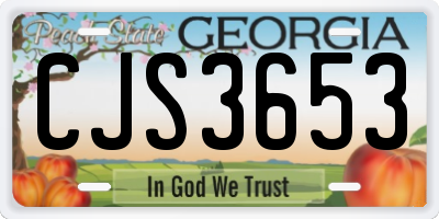 GA license plate CJS3653