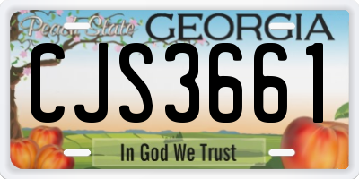 GA license plate CJS3661