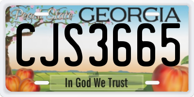 GA license plate CJS3665