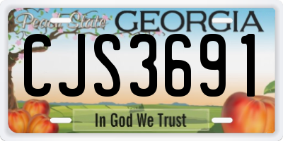 GA license plate CJS3691