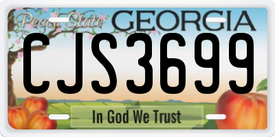 GA license plate CJS3699