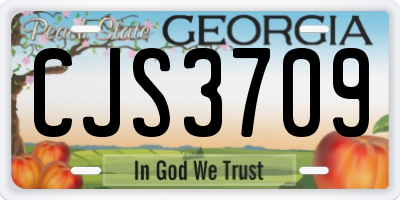 GA license plate CJS3709