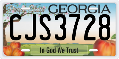 GA license plate CJS3728