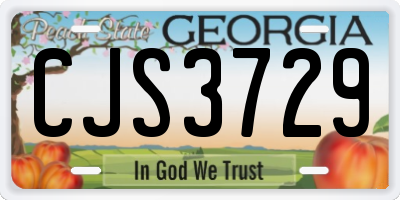 GA license plate CJS3729