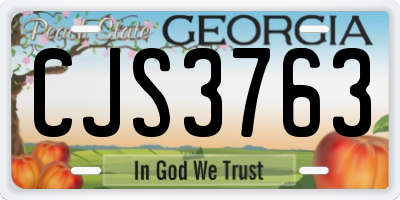 GA license plate CJS3763
