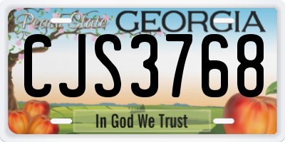 GA license plate CJS3768