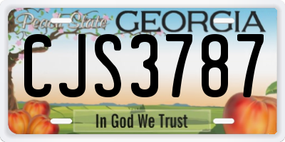 GA license plate CJS3787
