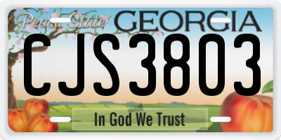 GA license plate CJS3803