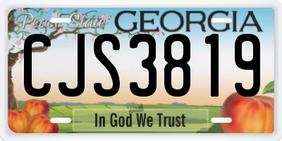 GA license plate CJS3819
