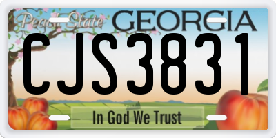 GA license plate CJS3831
