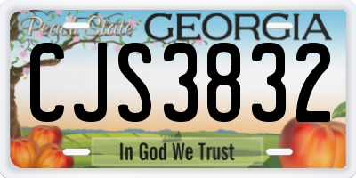 GA license plate CJS3832