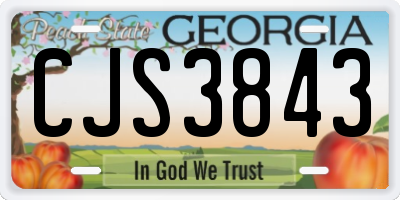 GA license plate CJS3843