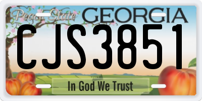 GA license plate CJS3851