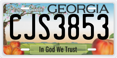 GA license plate CJS3853