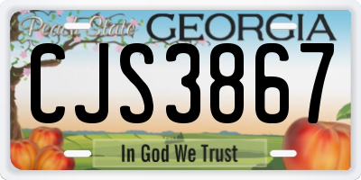 GA license plate CJS3867