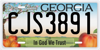 GA license plate CJS3891